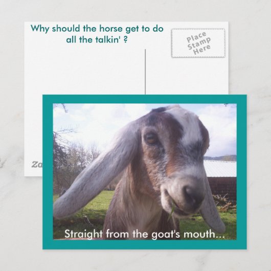 ヌビヤギ ポストカード (正面/裏面)