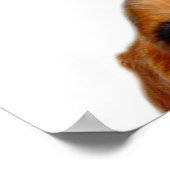 「ヌフが言った！ ポスター (角)