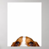 「ヌフが言った！ ポスター (正面)