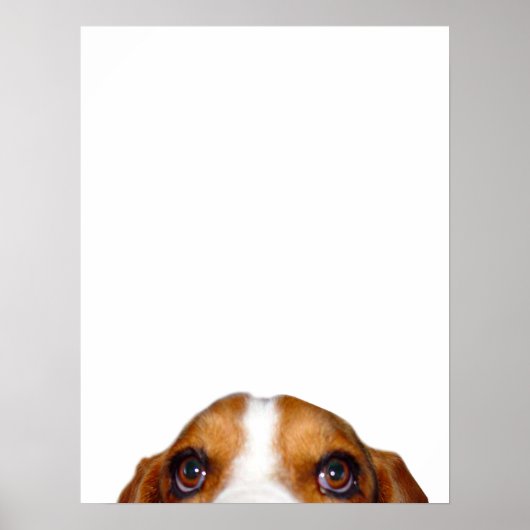 「ヌフが言った！ ポスター (正面)