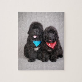 ヌフィー兄弟 ジグソーパズル