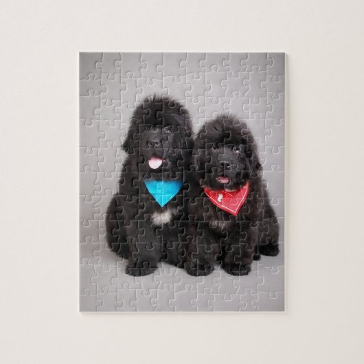 ヌフィー兄弟 ジグソーパズル (縦)