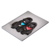 ヌフィー兄弟 ノートブック (左側)