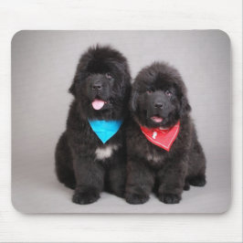 ヌフィー兄弟 マウスパッド