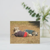 ヌンカイでスヌーン ポストカード (スタンド正面)