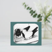 ヌンス1980 ポストカード (スタンド正面)