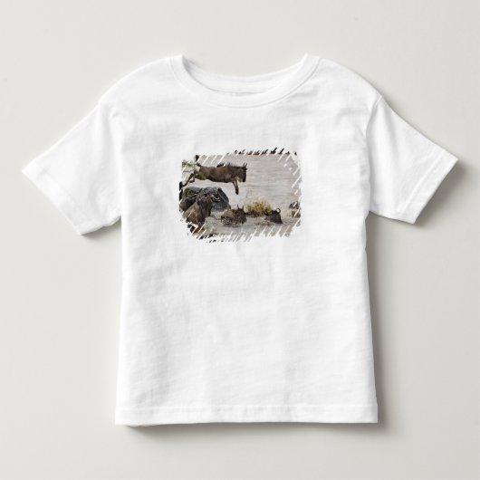 ヌーのマラ川への飛び込み トドラーTシャツ (正面)