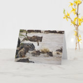 ヌーはマラの川にの間に飛び込んでいる カード (黄色い花)