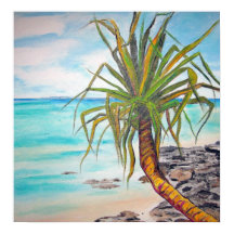 ヌーサパンドラ