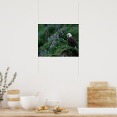 ヌートカ島のアラスカ、ウナアラスカ島バルドイーグル ポスター (キッチン)