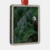 ヌートカ島のアラスカ、ウナアラスカ島バルドイーグル メタルオーナメント (右)