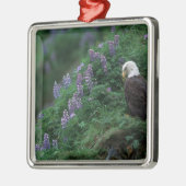 ヌートカ島のアラスカ、ウナアラスカ島バルドイーグル メタルオーナメント (左)