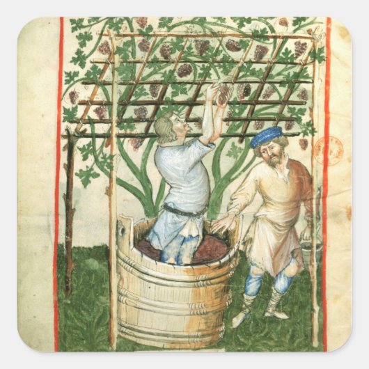 ヌーヴォアククラットギャザリングと圧搾ブドウ スクエアシール (正面)