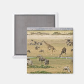 ヌー、シマウマ、キリン マグネット (正面/裏面)
