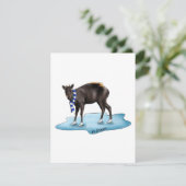 ヌー - ホリデーカード (スタンド正面)