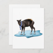 ヌー - ホリデーカード (正面/裏面)