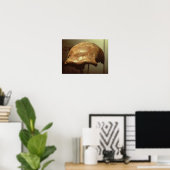 ネアンデルタール人の頭蓋 ポスター (ホームオフィス)