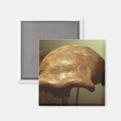 ネアンデルタール人の頭蓋 マグネット (正面/裏面)