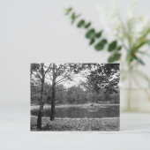 ネイオウグパークスクラントンPa.ポストカード ポストカード (スタンド正面)