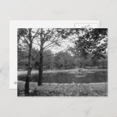 ネイオウグパークスクラントンPa.ポストカード ポストカード (正面/裏面)