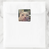 ネイサンステッカー スクエアシール (バッグ)