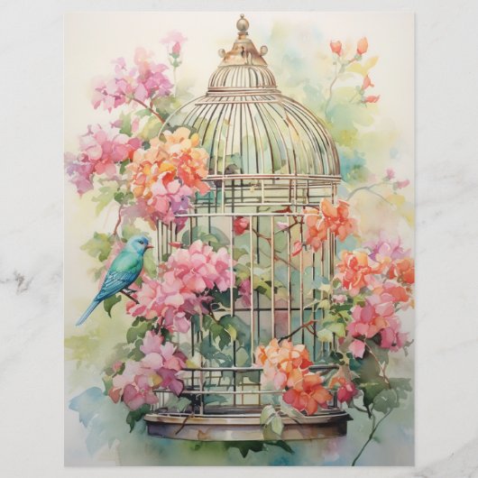 ネイチャーのフローラ疑問に思スクラッブック紙 (正面)