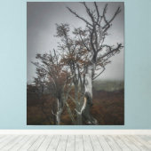 ネイチャーのレジリエンス：大テラ・デル・フエゴの森 キャンバスプリント (インサイチュ (ウッドフロア))