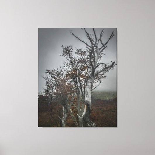 ネイチャーのレジリエンス：大テラ・デル・フエゴの森 キャンバスプリント (正面)