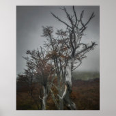 ネイチャーのレジリエンス:大テラ・デル・フエゴの森 ポスター (正面)