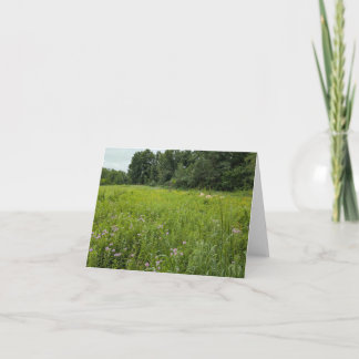 ネイチャーのTouch – あいさつ空白のおよびサンキューカード カード