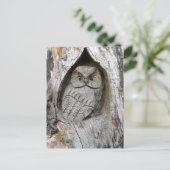 ネイチャーアンドアートセンター ポストカード (スタンド正面)