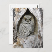 ネイチャーアンドアートセンター ポストカード (正面/裏面)