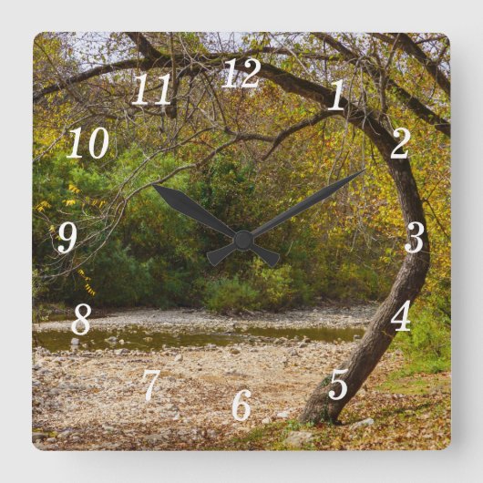 ネイチャーサークルの壁時計 スクエア壁時計 (正面)