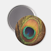 ネイチャーズアート4ウィルマ マグネット (正面/裏面)