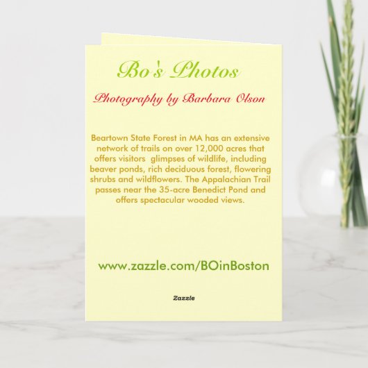 ネイチャーズアート：ベアータウン州森 – 引用文内 カード (裏面)