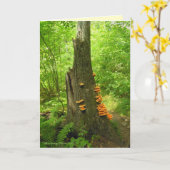 ネイチャーズアート:ベアータウン州森 – 引用文内 カード (黄色い花)