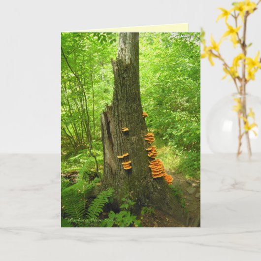 ネイチャーズアート:ベアータウン州森 – 引用文内 カード (黄色い花)