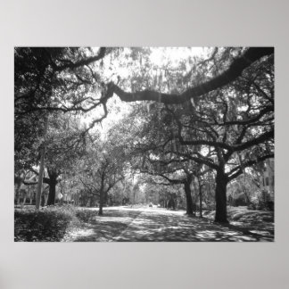 ネイチャーズアーバー ポスター