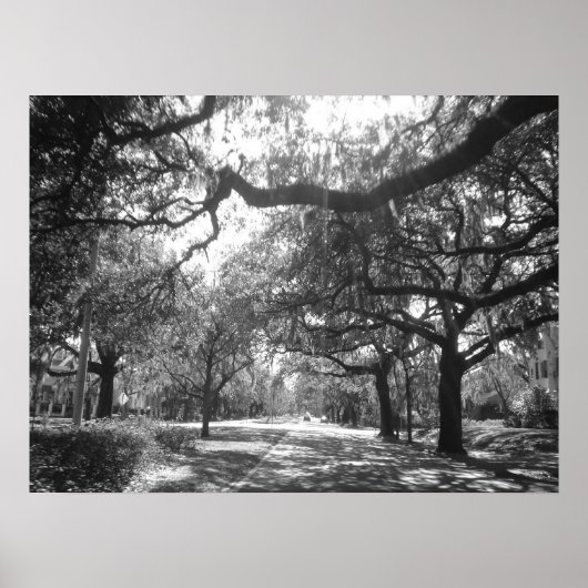 ネイチャーズアーバー ポスター (正面)