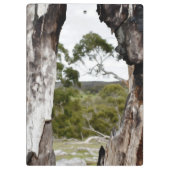 ネイチャーズウィンドウ クリップボード (裏面)