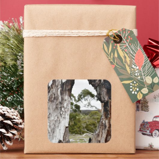 ネイチャーズウィンドウ スクエアシール (クリスマス)