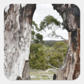 ネイチャーズウィンドウ スクエアシール (正面)