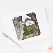 ネイチャーズウィンドウ スクエアシール (封筒)