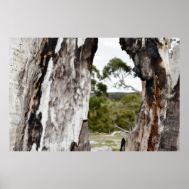 ネイチャーズウィンドウ ポスター