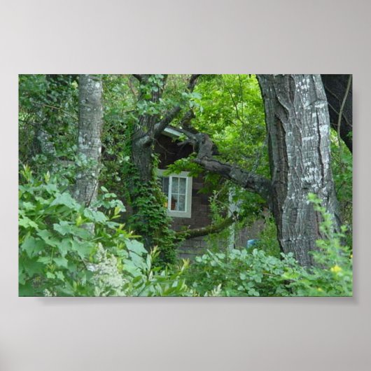 ネイチャーズウィンドウ ポスター (正面)