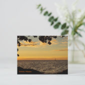 ネイチャーズウィンドウ ポストカード (スタンド正面)