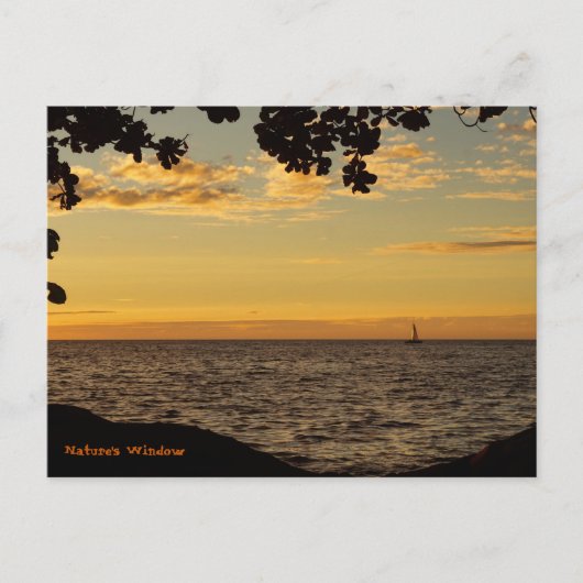 ネイチャーズウィンドウ ポストカード (正面)