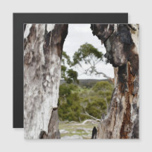 ネイチャーズウインドウマグネティックカード