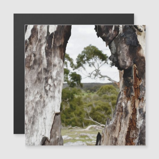 ネイチャーズウインドウマグネティックカード (正面/裏面)