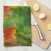 ネイチャーズクラウン キッチンタオル (四つ折り)